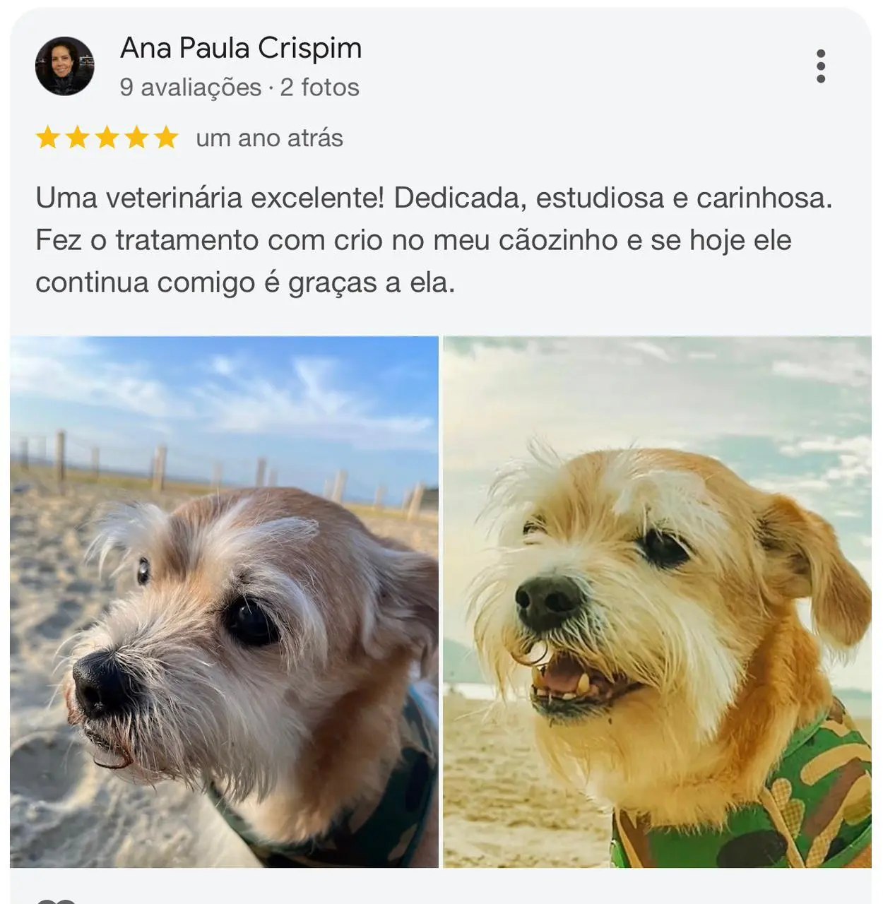 Avaliação Ana Paula Crispim